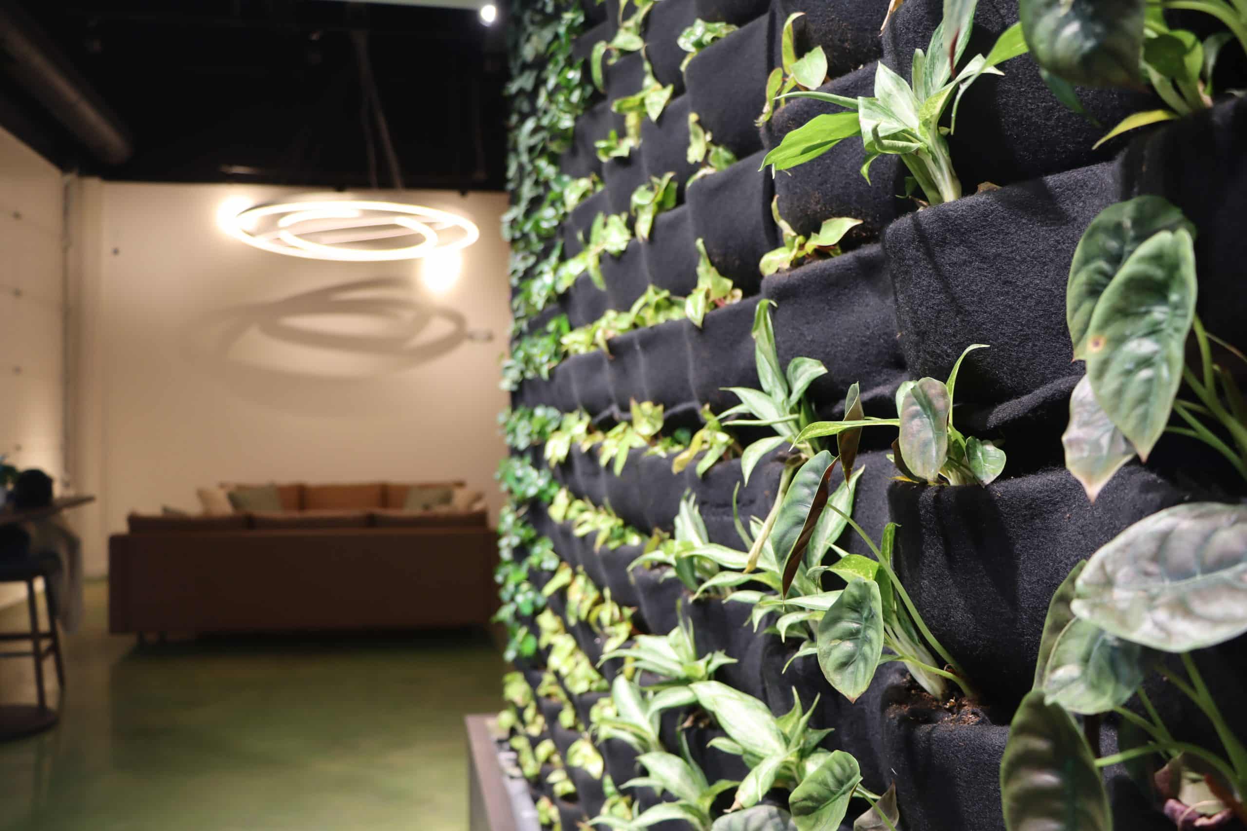 Zen Room